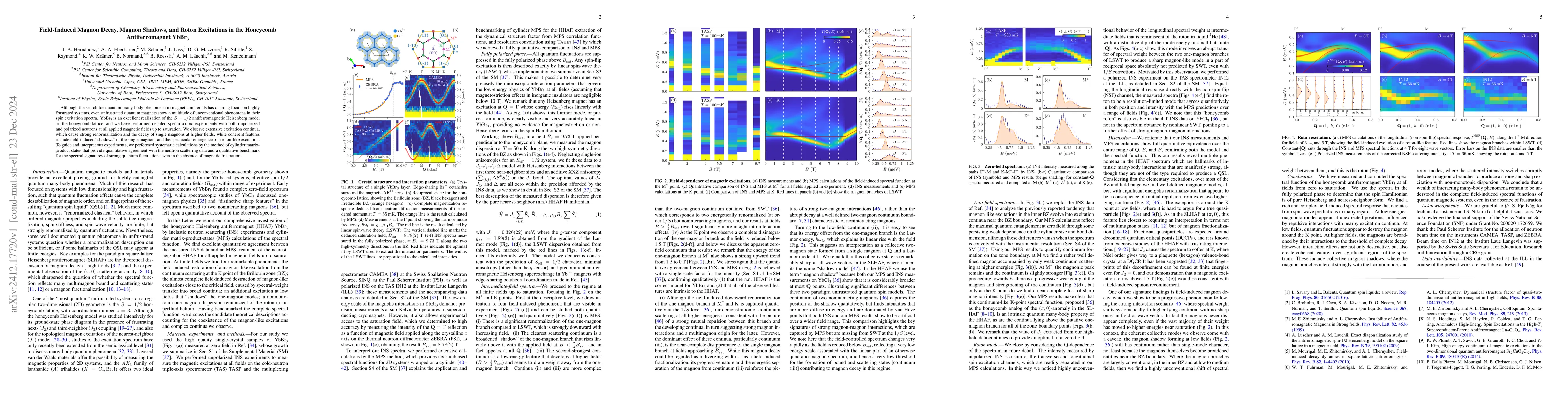 Thumbnail for Field-Induced Magnon Decay, Magnon Shadows, and Roton Excitations in the
  Honeycomb Antiferromagnet YbBr$_3$