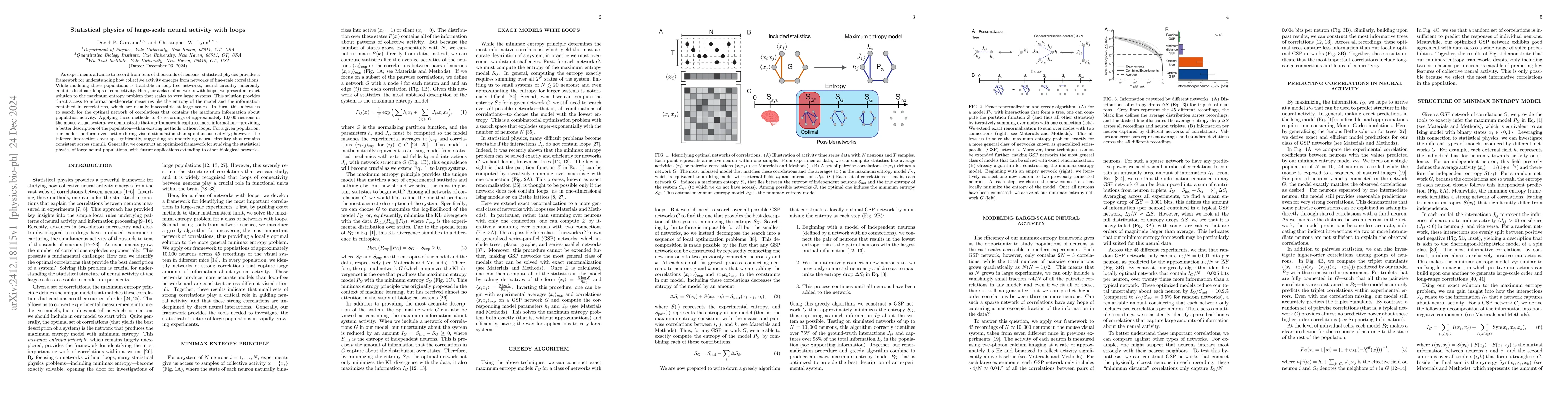Thumbnail for Statistical physics of large-scale neural activity with loops