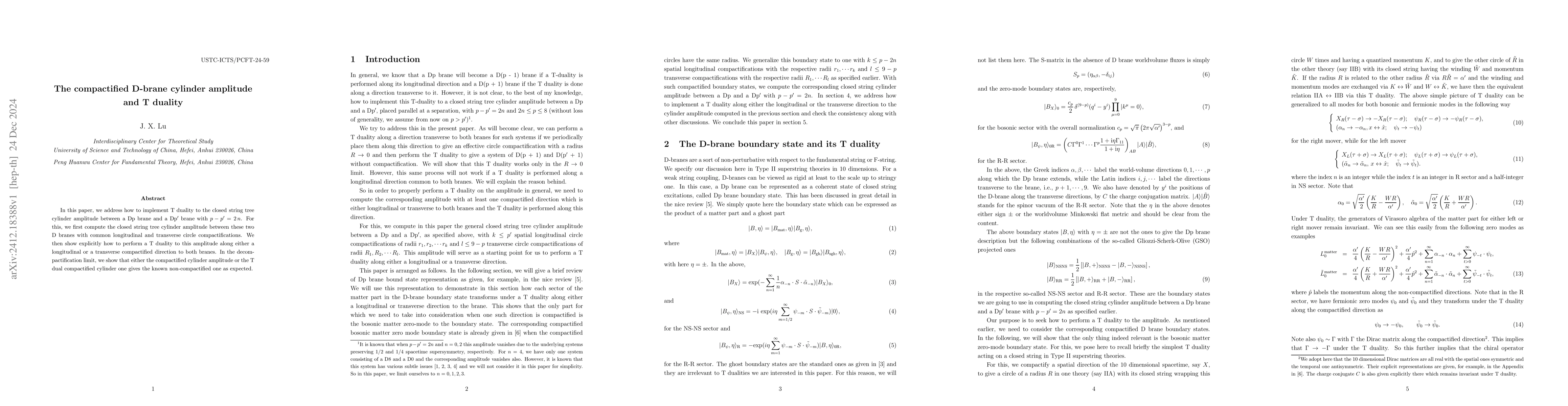 Thumbnail for The compactified D-brane cylinder amplitude and T duality