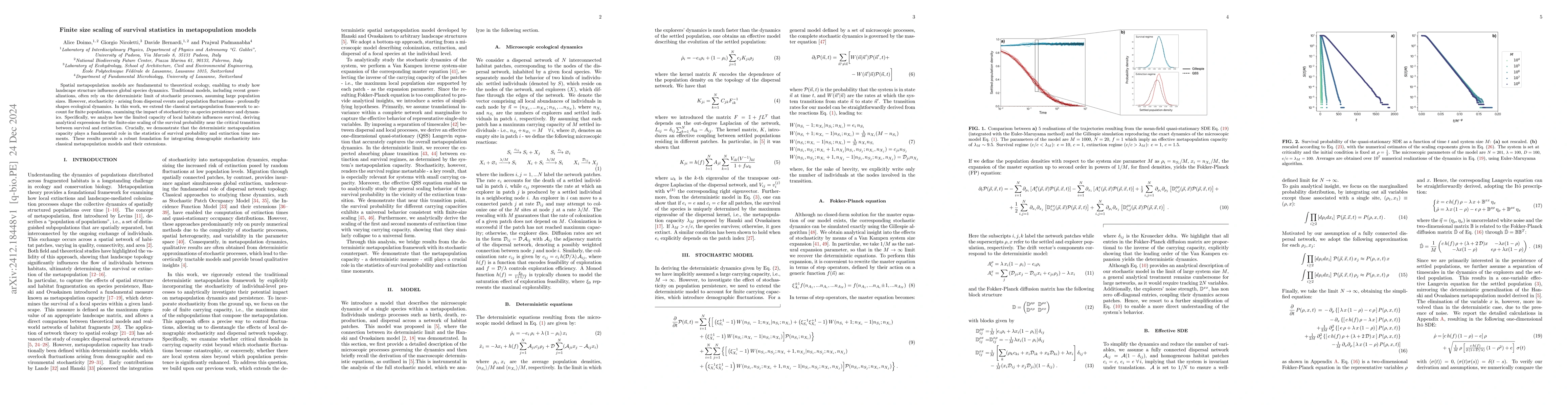 Thumbnail for Finite size scaling of survival statistics in metapopulation models
