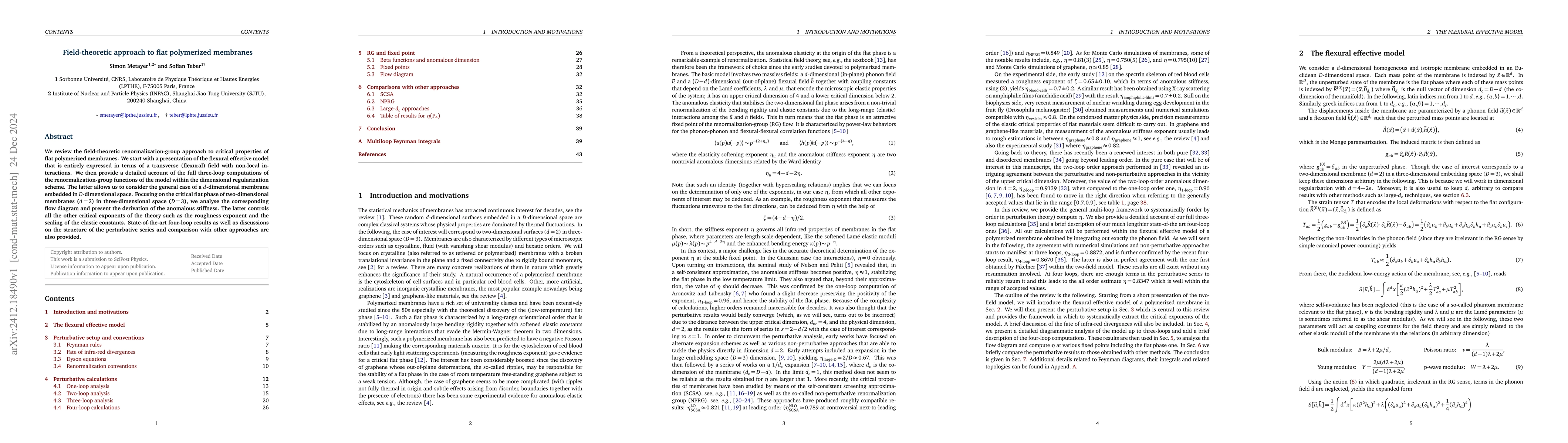 Thumbnail for Field-theoretic approach to flat polymerized membranes