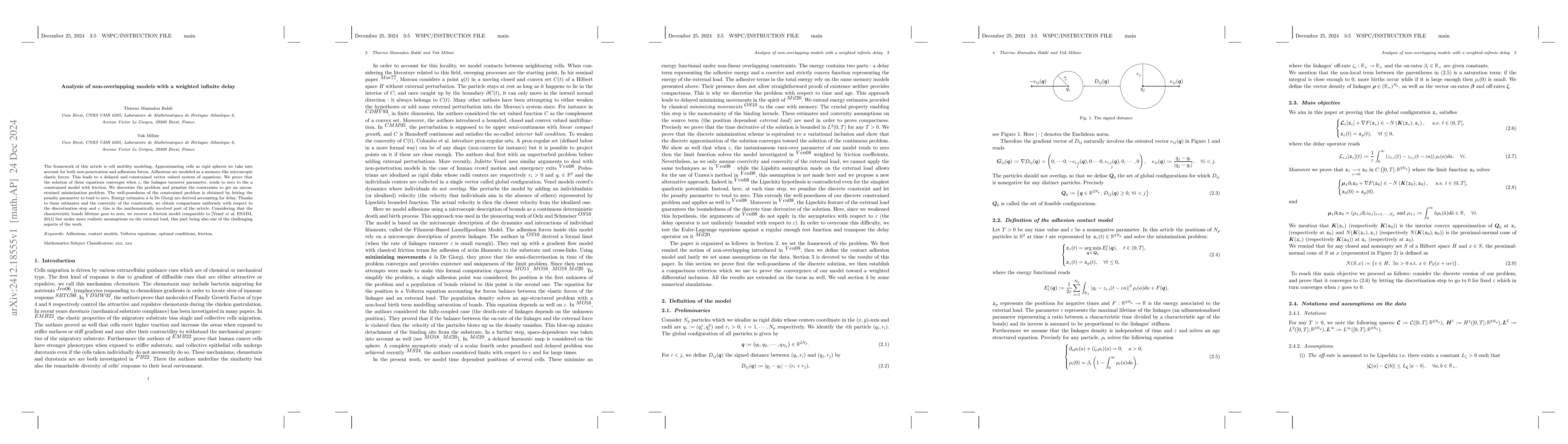 Thumbnail for Analysis of non-overlapping models with a weighted infinite delay