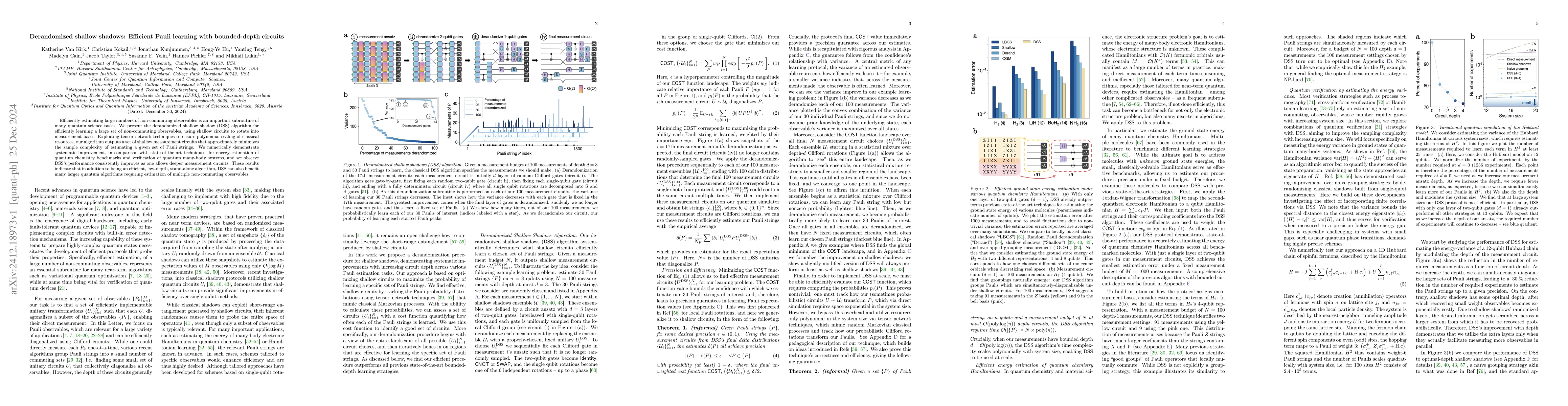 Thumbnail for Derandomized shallow shadows: Efficient Pauli learning with
  bounded-depth circuits