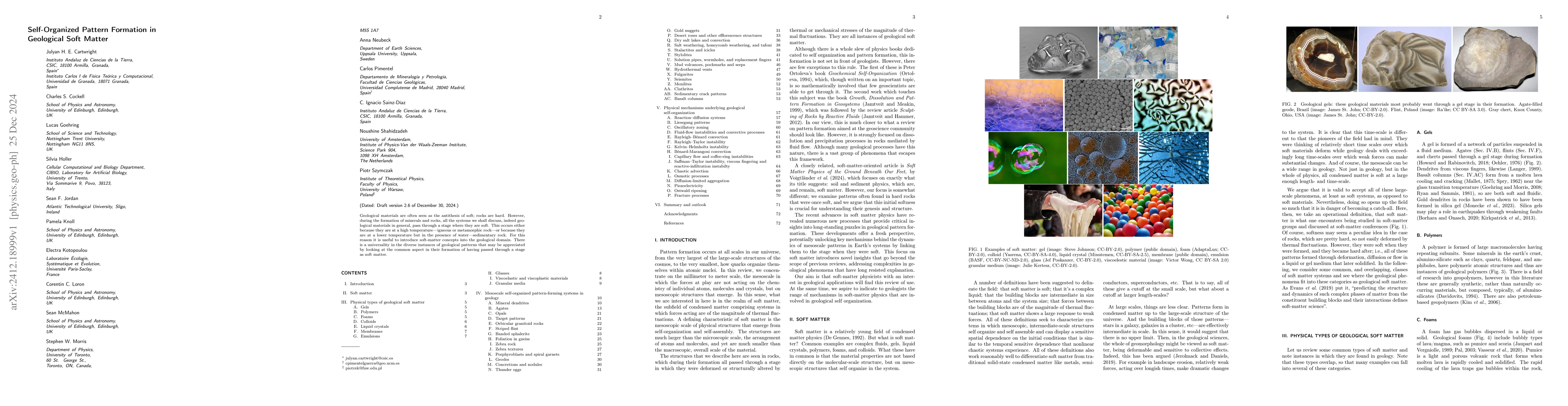 Thumbnail for Self-Organized Pattern Formation in Geological Soft Matter