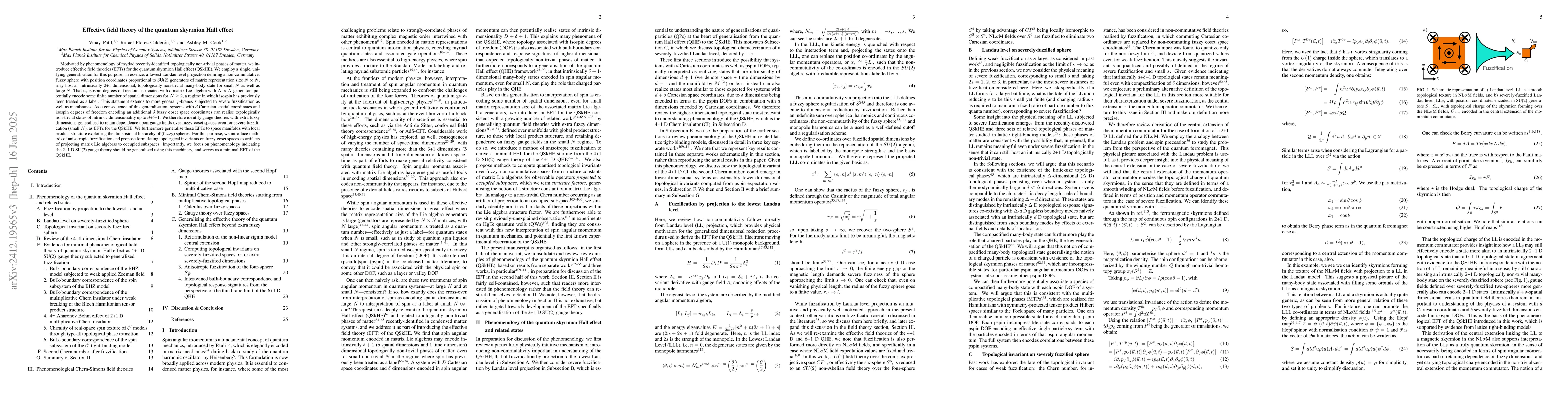 Thumbnail for Effective field theory of the quantum skyrmion Hall effect