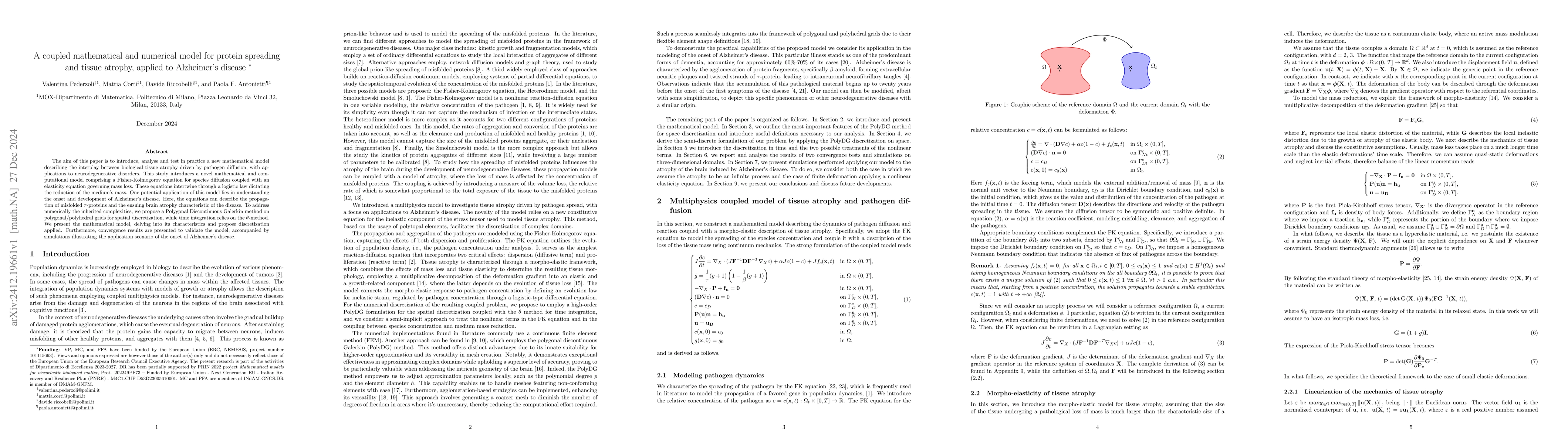 Thumbnail for A coupled mathematical and numerical model for protein spreading and
  tissue atrophy, applied to Alzheimer's disease