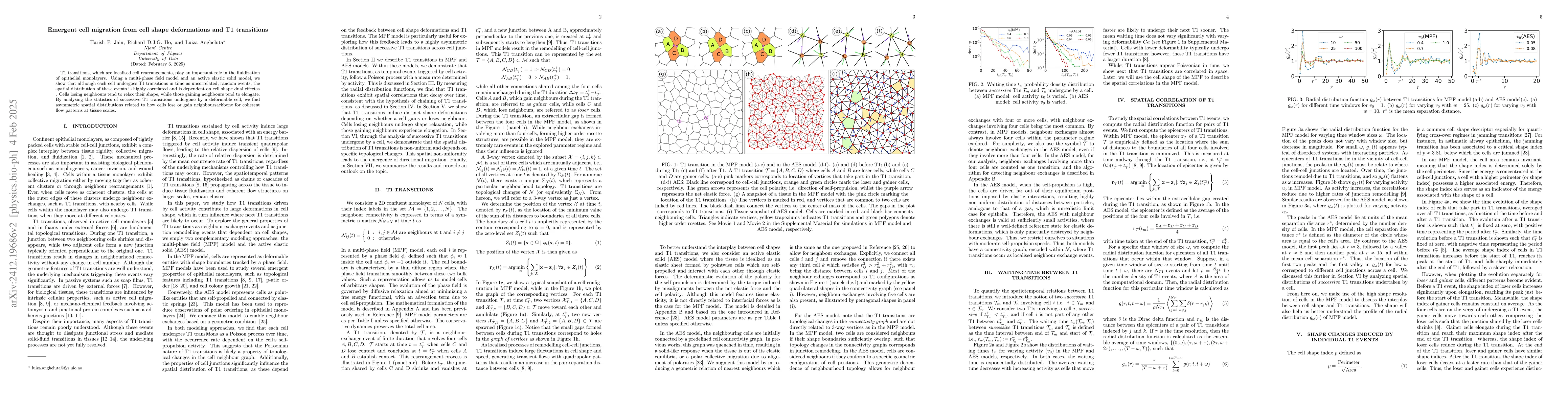 Thumbnail for Emergent cell migration from cell shape deformations and T1 transitions