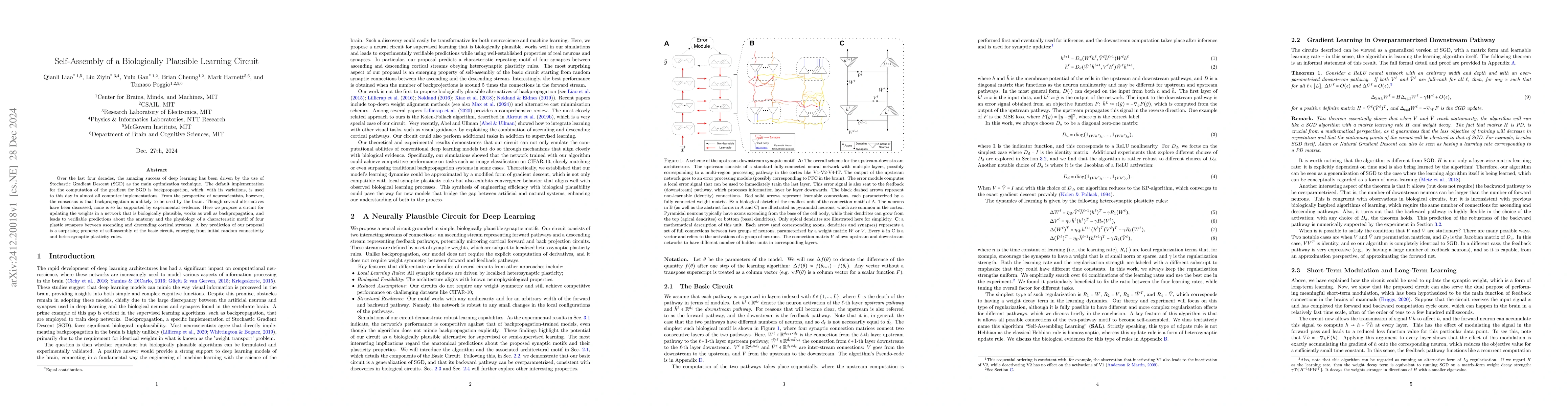 Thumbnail for Self-Assembly of a Biologically Plausible Learning Circuit