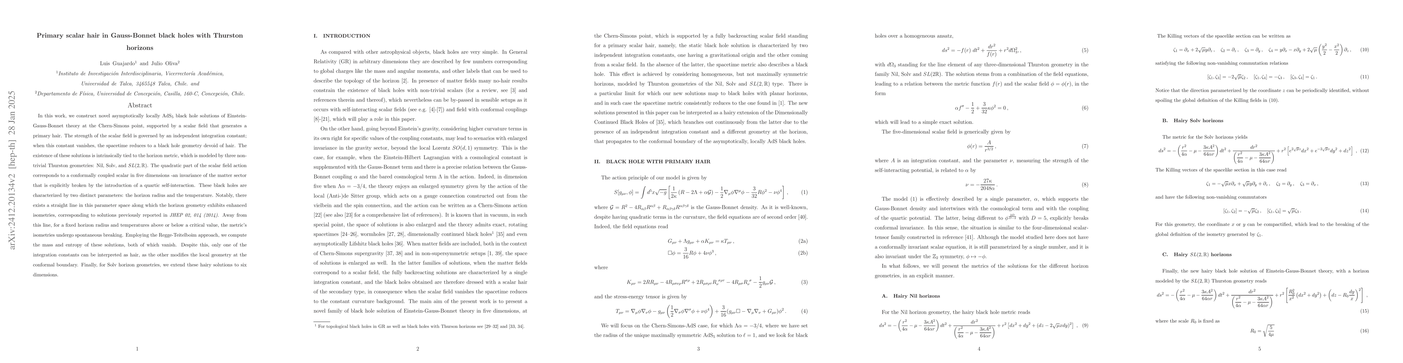 Thumbnail for Primary scalar hair in Gauss-Bonnet black holes with Thurston horizons