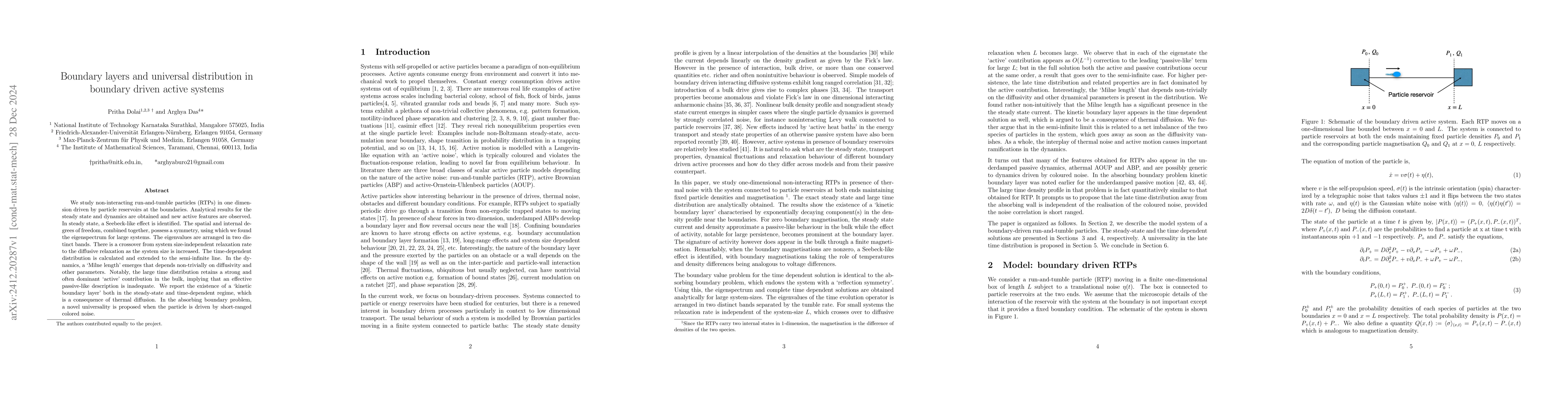 Thumbnail for Boundary layers and universal distribution in boundary driven active
  systems