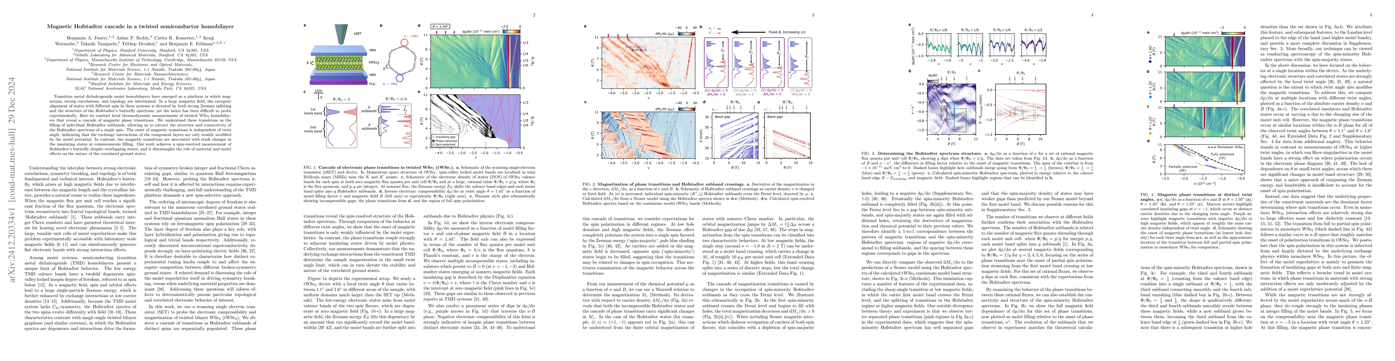 Thumbnail for Magnetic Hofstadter cascade in a twisted semiconductor homobilayer
