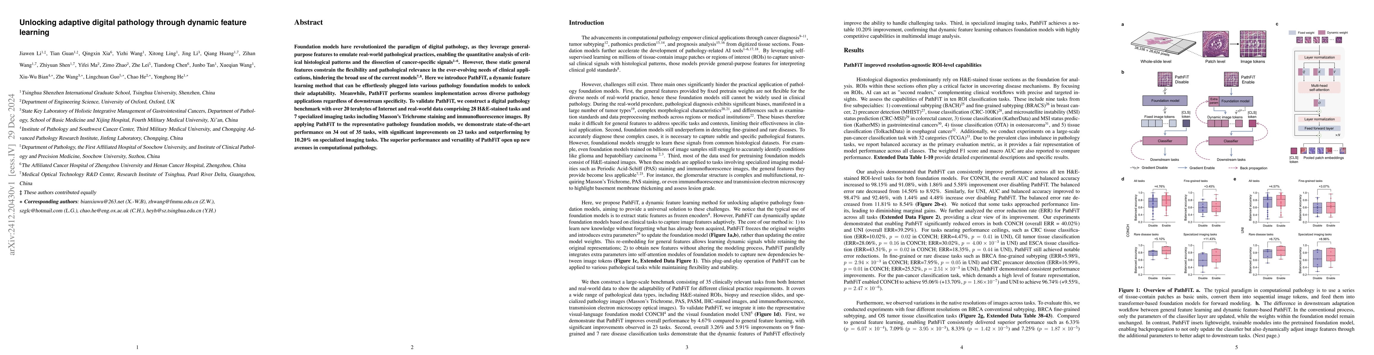 Thumbnail for Unlocking adaptive digital pathology through dynamic feature learning