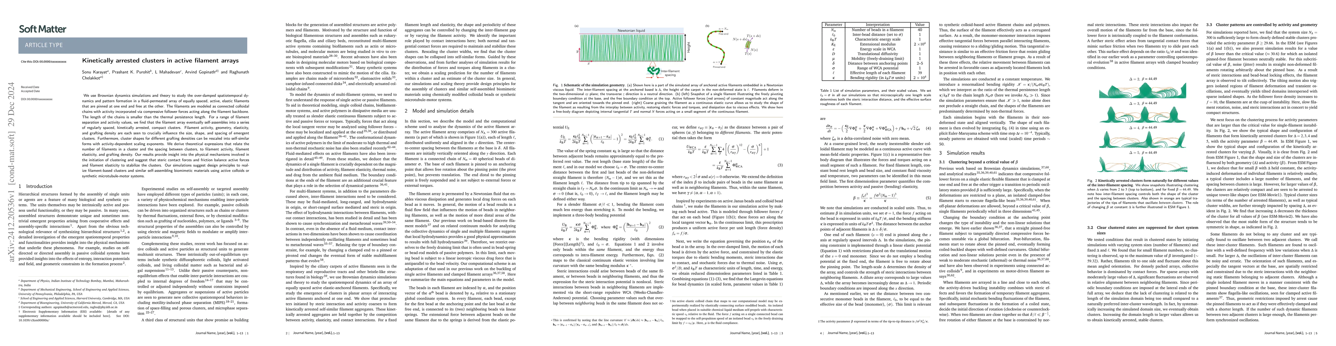 Thumbnail for Kinetically arrested clusters in active filament arrays