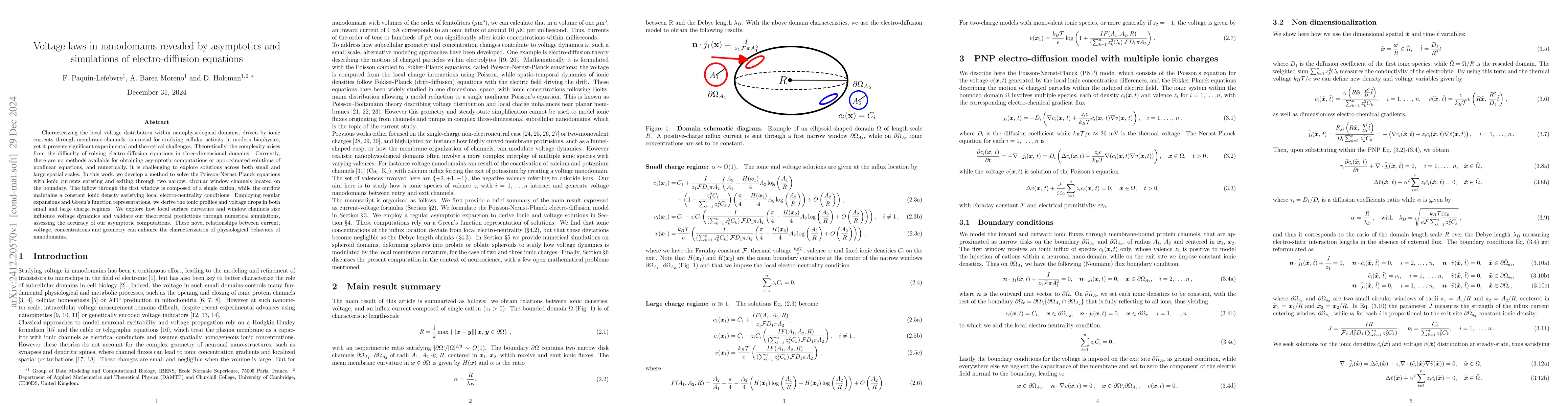 Thumbnail for Voltage laws in nanodomains revealed by asymptotics and simulations of
  electro-diffusion equations