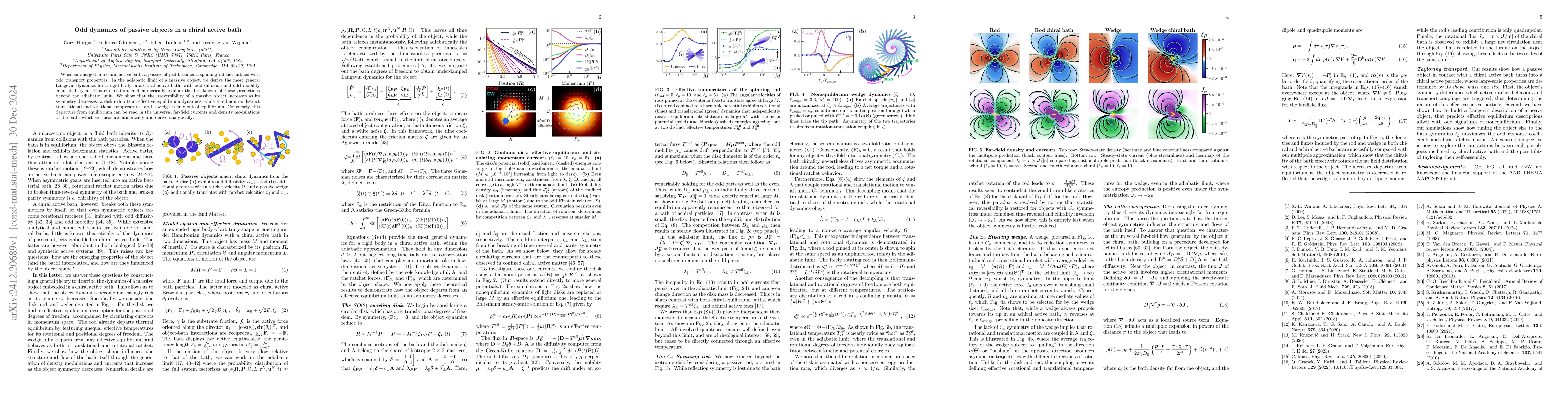 Thumbnail for Odd dynamics of passive objects in a chiral active bath
