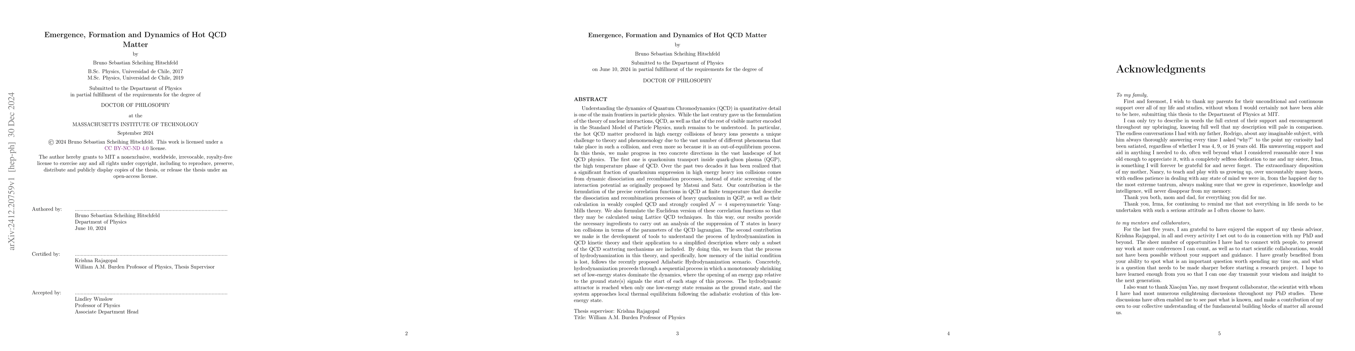 Thumbnail for Emergence, Formation and Dynamics of Hot QCD Matter