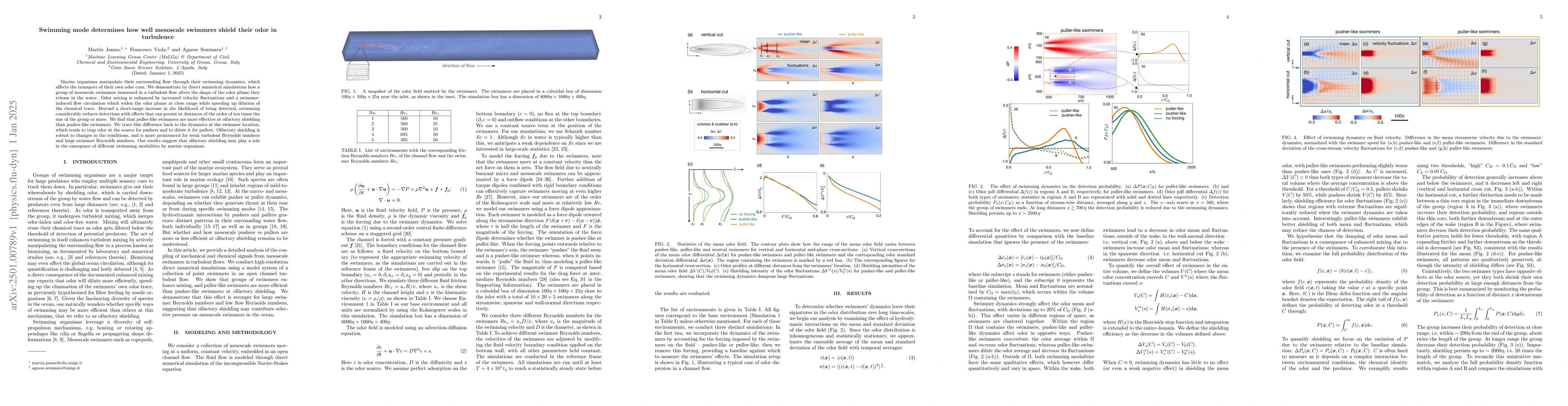 Thumbnail for Swimming mode determines how well mesoscale swimmers shield their odor
  in turbulence