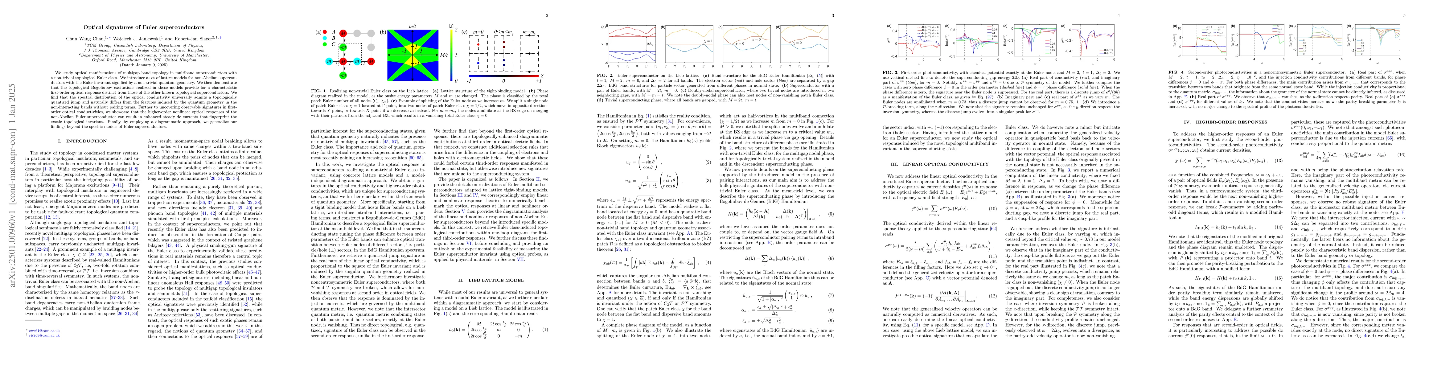 Thumbnail for Optical signatures of Euler superconductors
