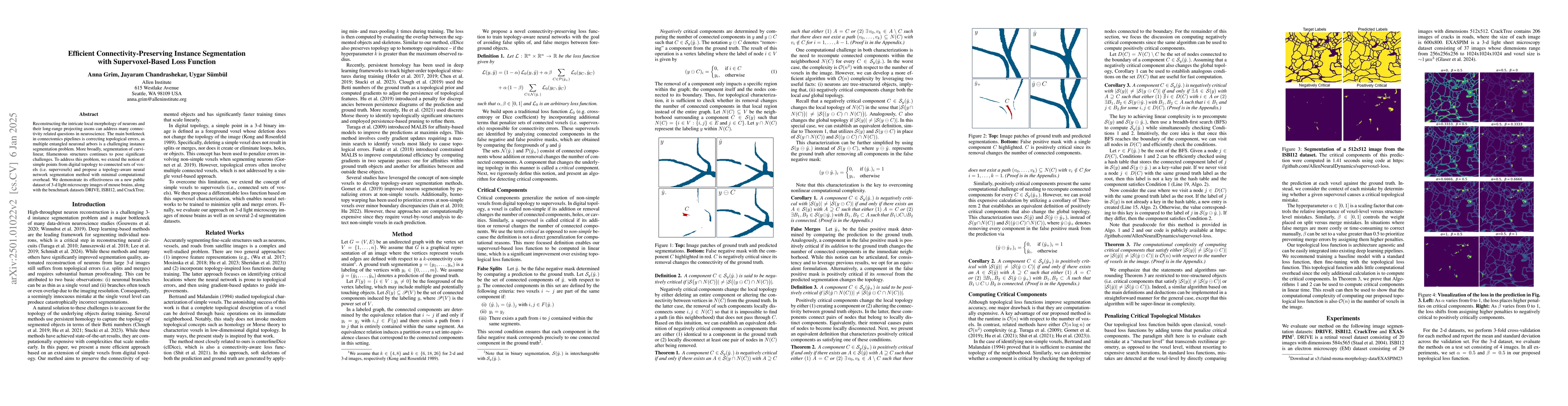 Thumbnail for Efficient Connectivity-Preserving Instance Segmentation with
  Supervoxel-Based Loss Function
