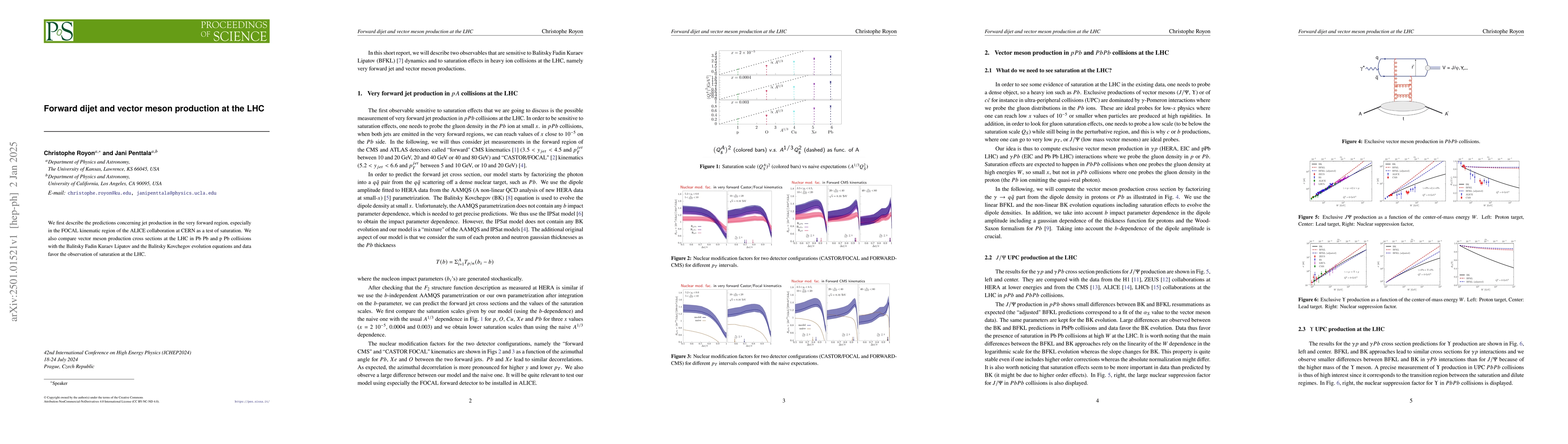 Thumbnail for Forward dijet and vector meson production at the LHC