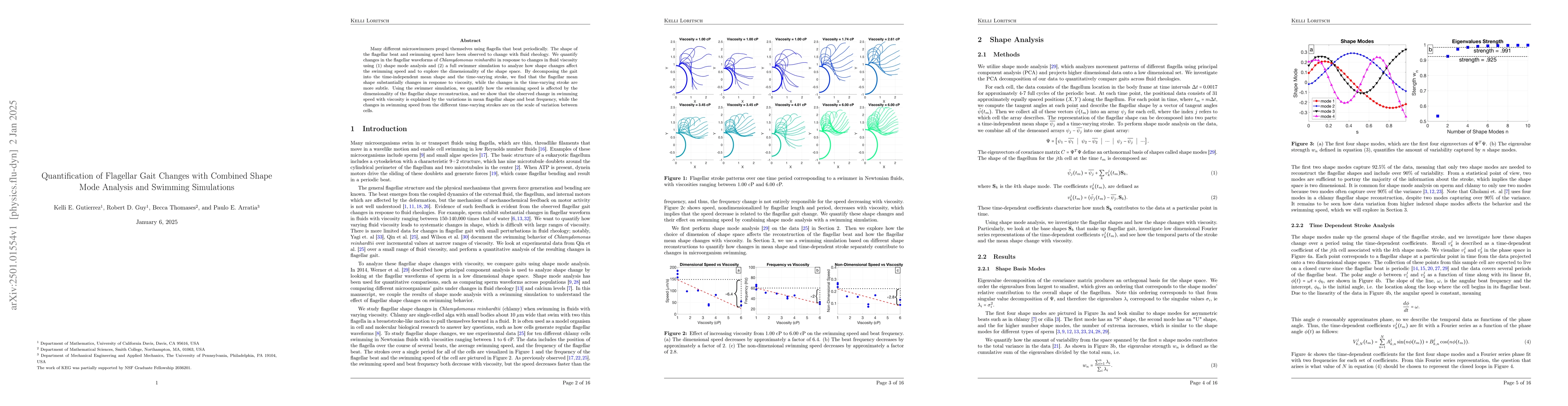 Thumbnail for Quantification of Flagellar Gait Changes with Combined Shape Mode
  Analysis and Swimming Simulations