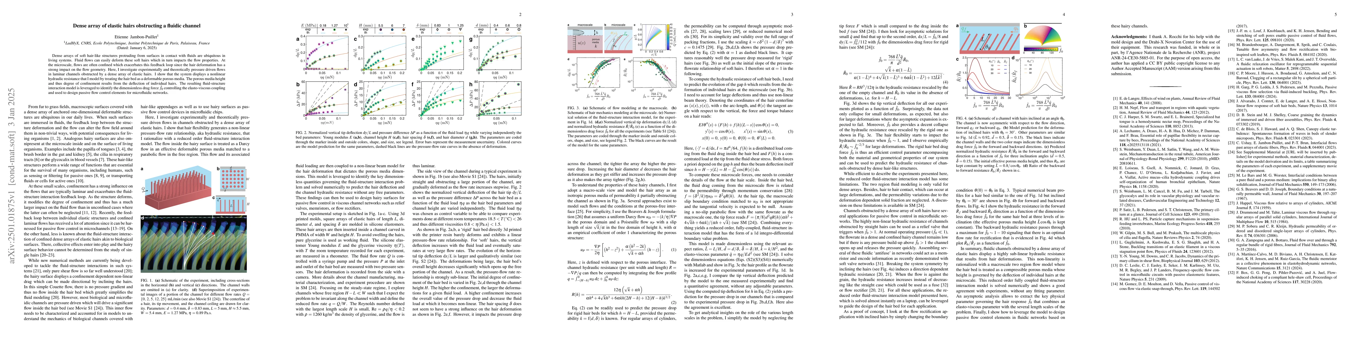 Thumbnail for Dense array of elastic hairs obstructing a fluidic channel