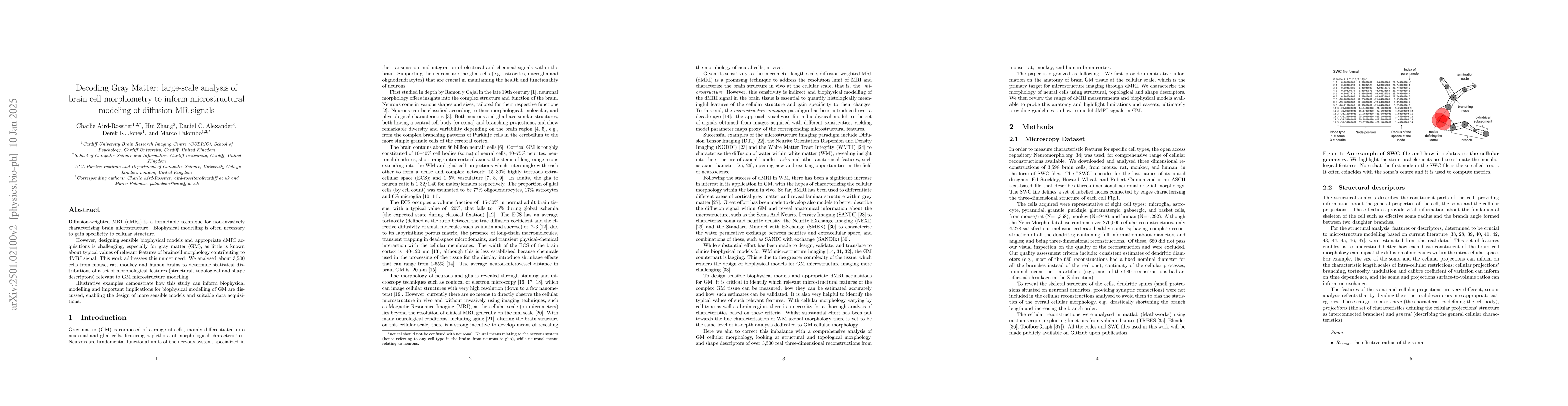 Thumbnail for Decoding Gray Matter: large-scale analysis of brain cell morphometry to
  inform microstructural modeling of diffusion MR signals