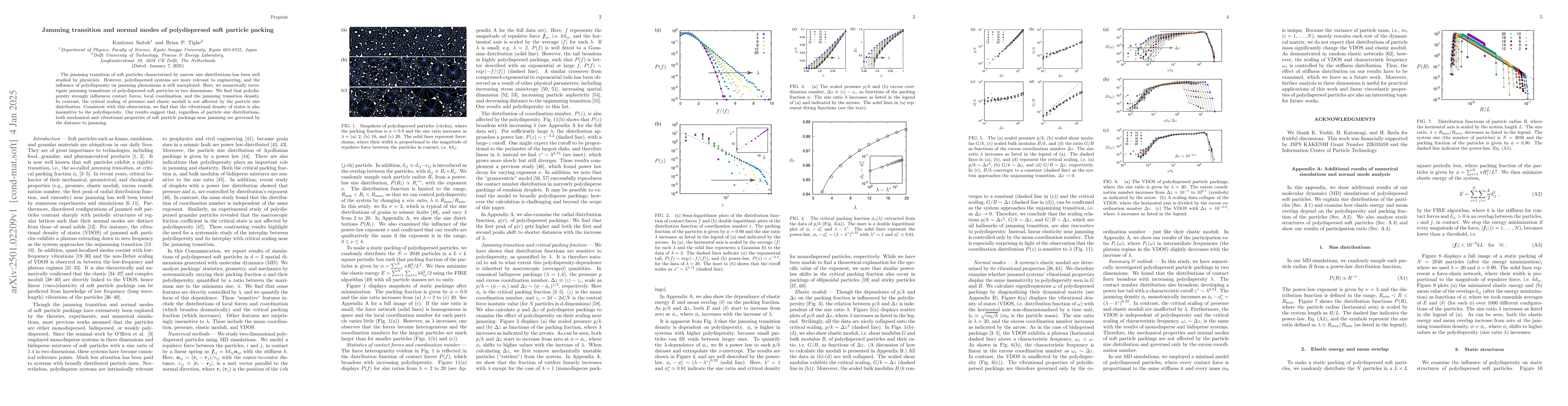 Thumbnail for Jamming transition and normal modes of polydispersed soft particle
  packing