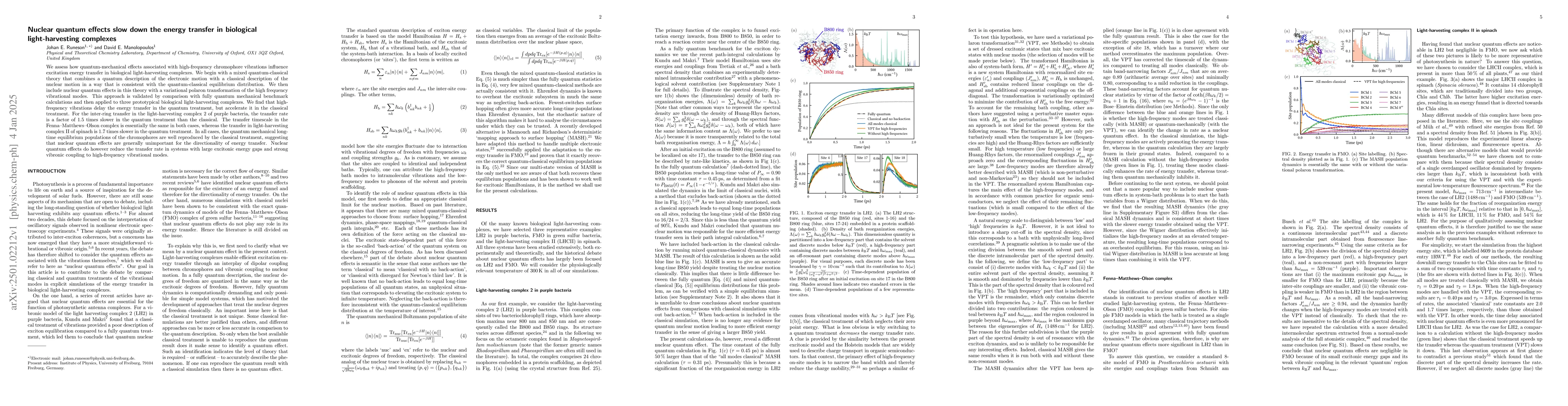 Thumbnail for Nuclear quantum effects slow down the energy transfer in biological
  light-harvesting complexes