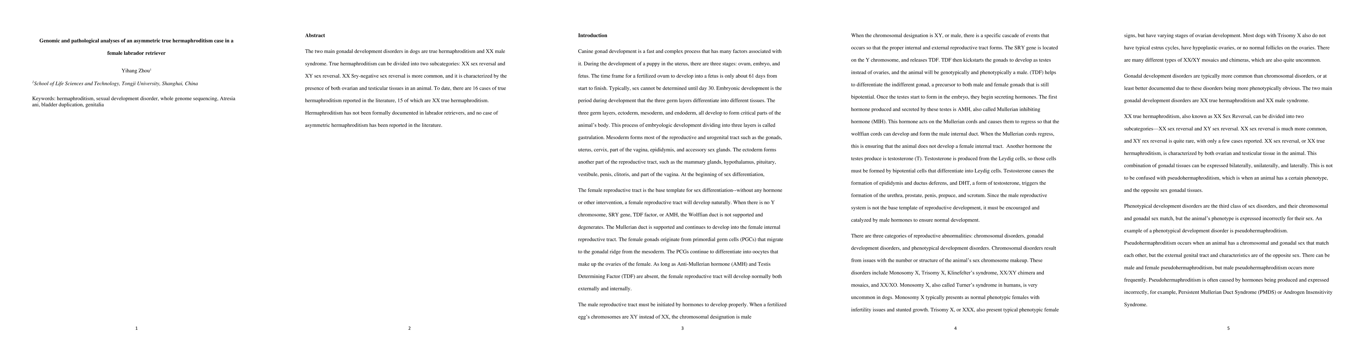 Thumbnail for Genomic and pathological analyses of an asymmetric true hermaphroditism
  case in a female labrador retriever