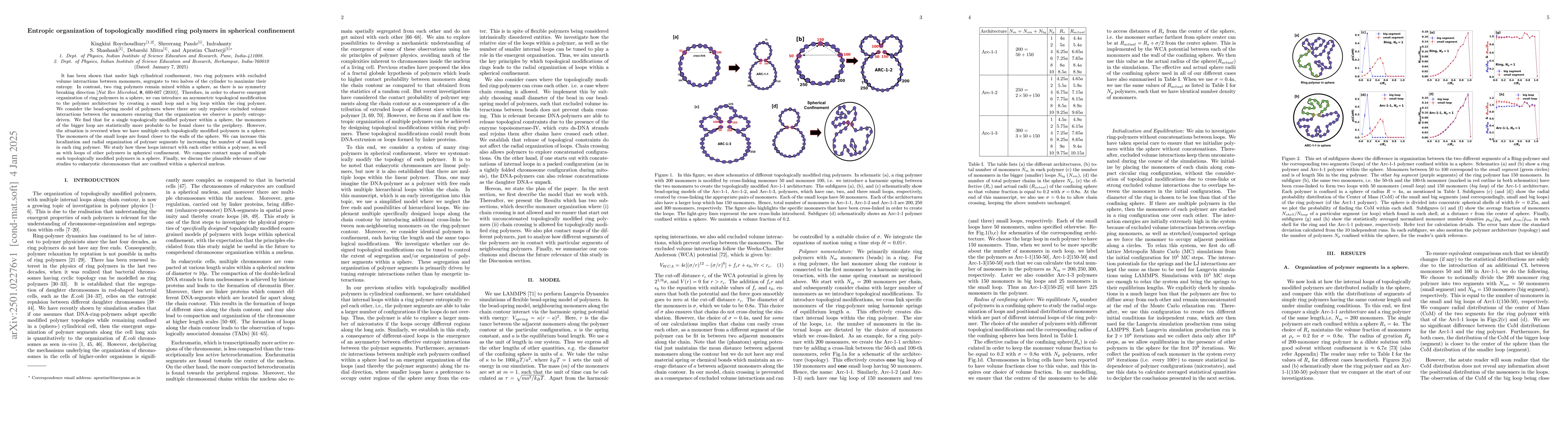 Thumbnail for Entropic organization of topologically modified ring polymers in
  spherical confinement