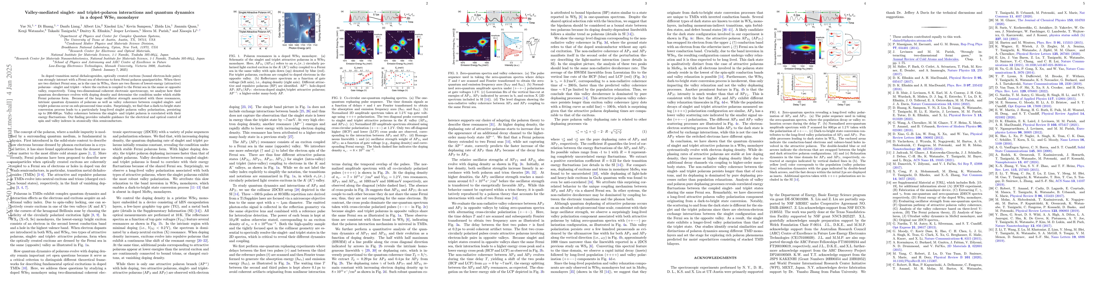 Thumbnail for Valley-mediated singlet- and triplet-polaron interactions and quantum
  dynamics in a doped WSe$_2$ monolayer