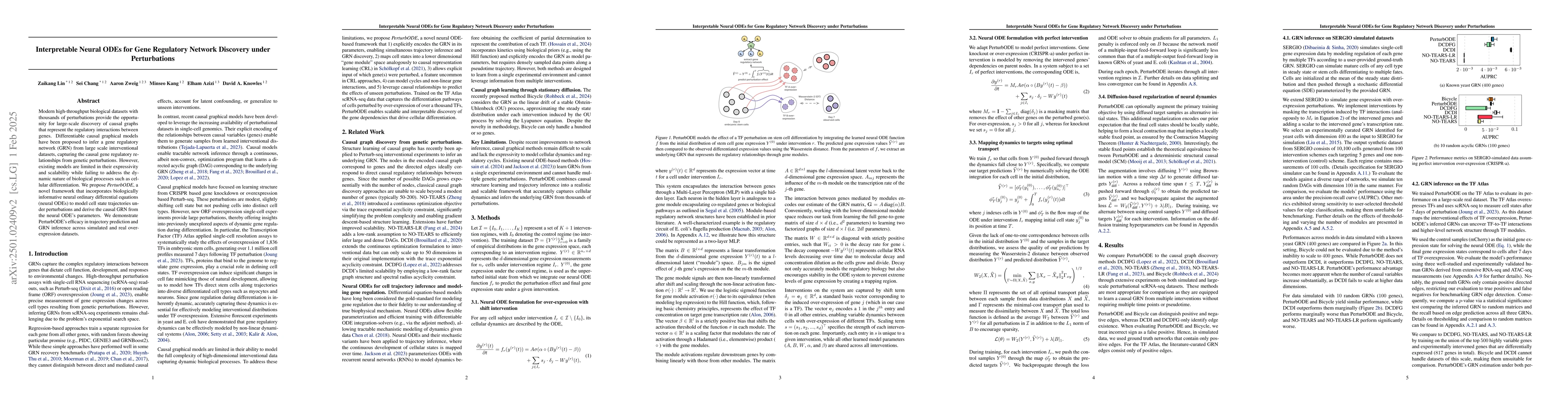 Thumbnail for Interpretable Neural ODEs for Gene Regulatory Network Discovery under
  Perturbations
