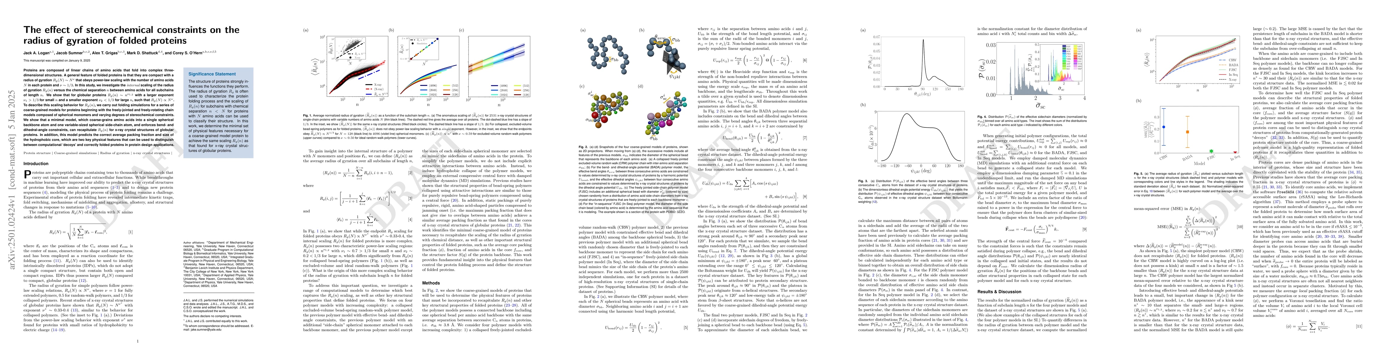 Thumbnail for The effect of stereochemical constraints on the radius of gyration of
  folded proteins