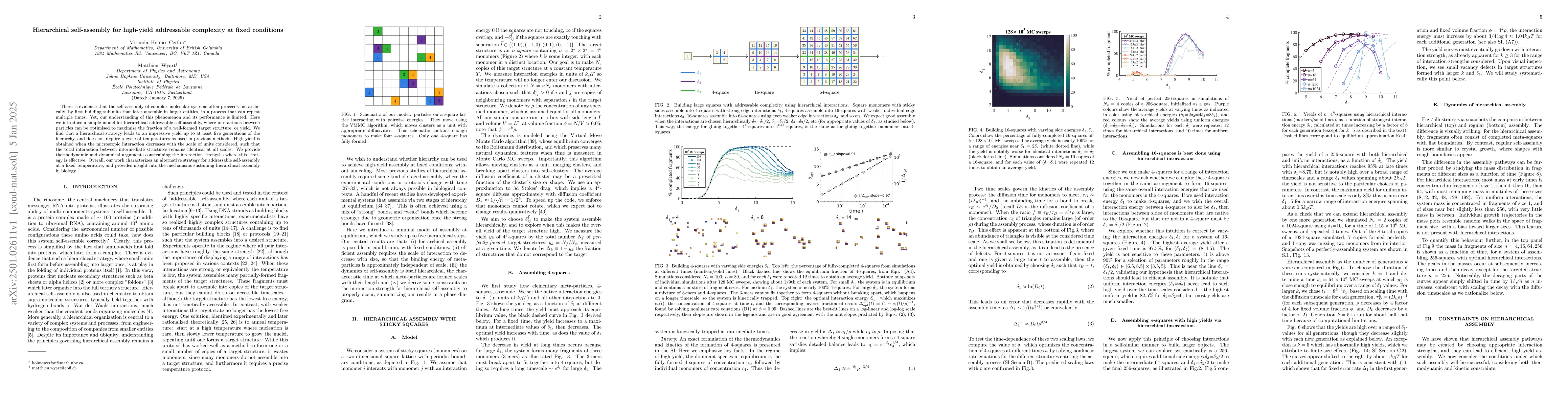 Thumbnail for Hierarchical self-assembly for high-yield addressable complexity at
  fixed conditions