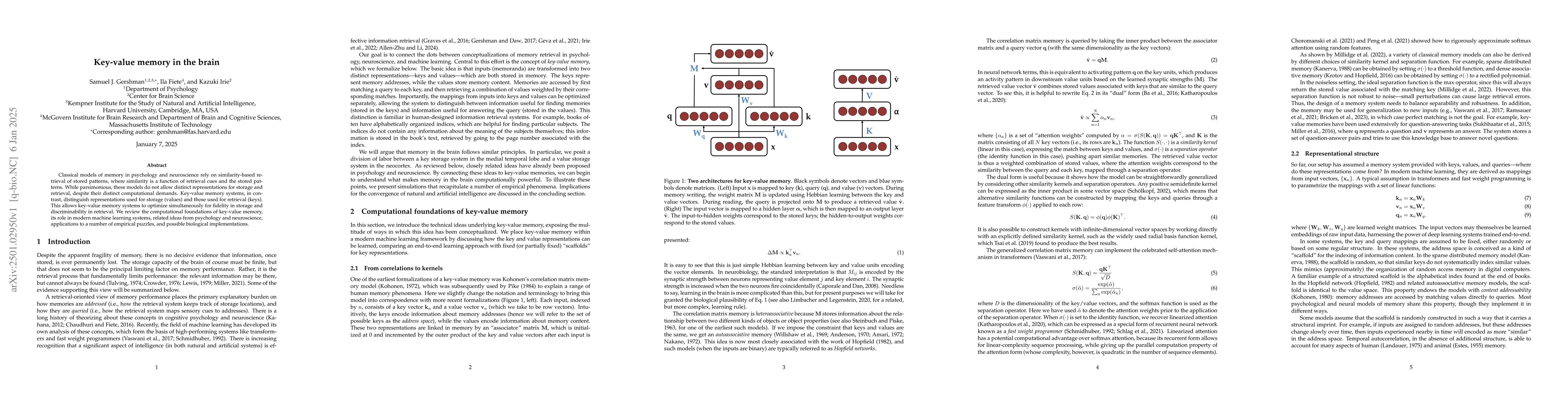 Thumbnail for Key-value memory in the brain
