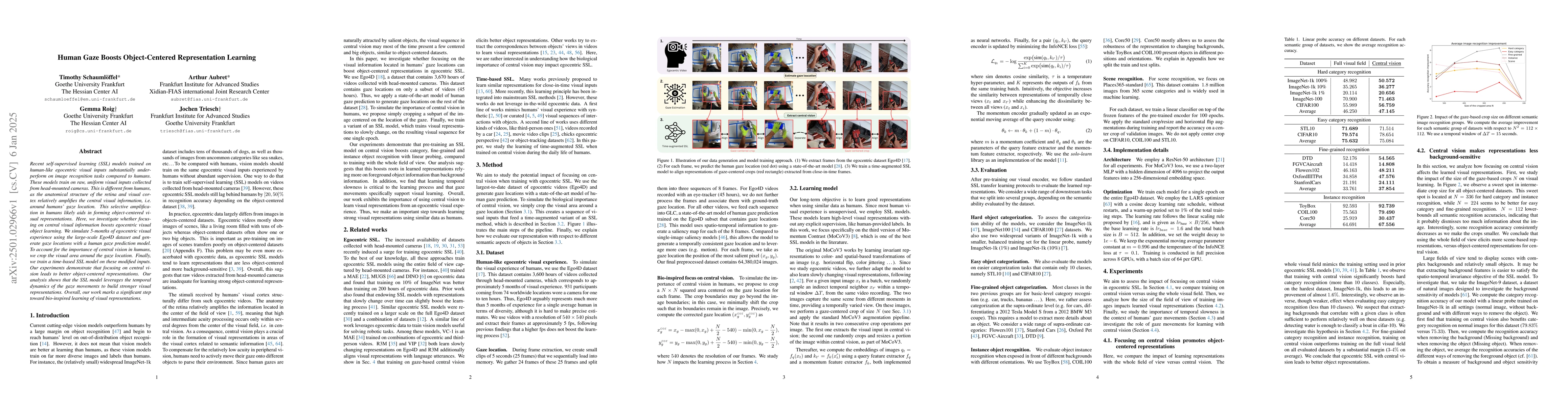 Thumbnail for Human Gaze Boosts Object-Centered Representation Learning