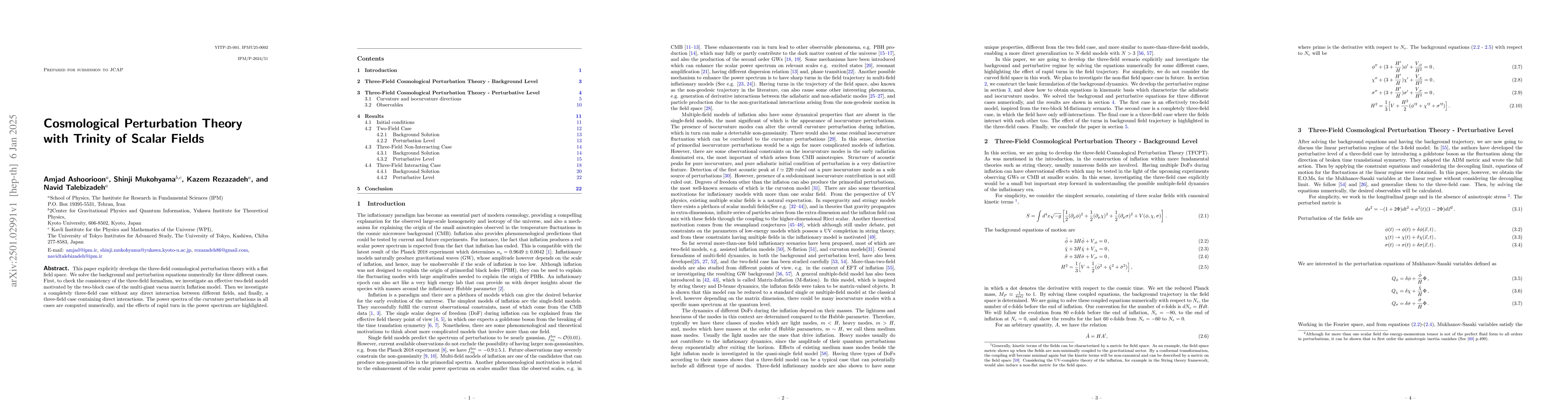 Thumbnail for Cosmological Perturbation Theory with Trinity of Scalar Fields