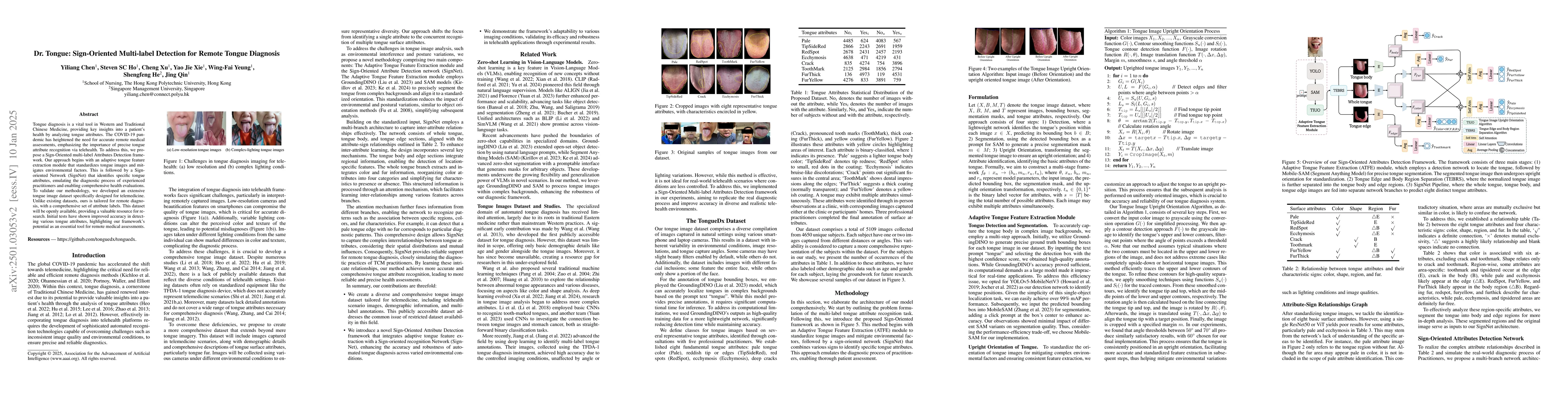Thumbnail for Dr. Tongue: Sign-Oriented Multi-label Detection for Remote Tongue
  Diagnosis