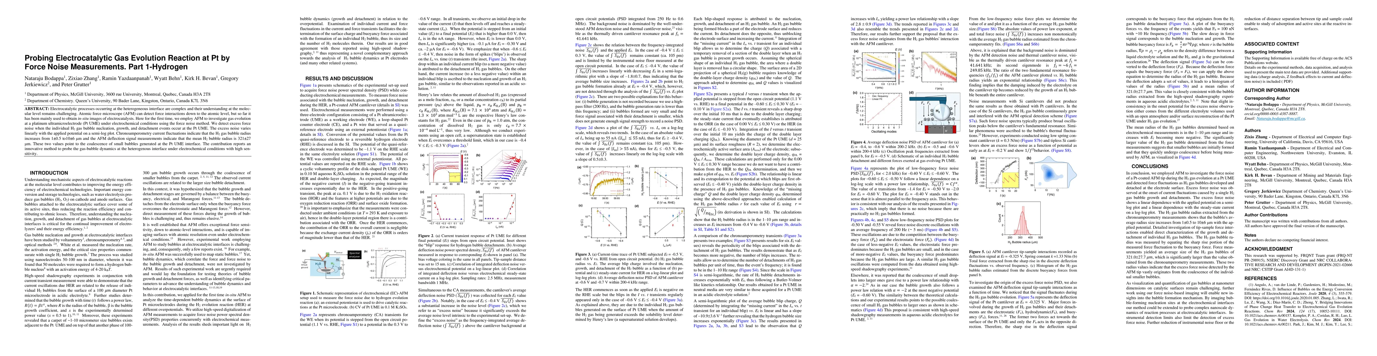 Thumbnail for Probing Electrocatalytic Gas Evolution Reaction at Pt by Force Noise
  Measurements. Part 1-Hydrogen
