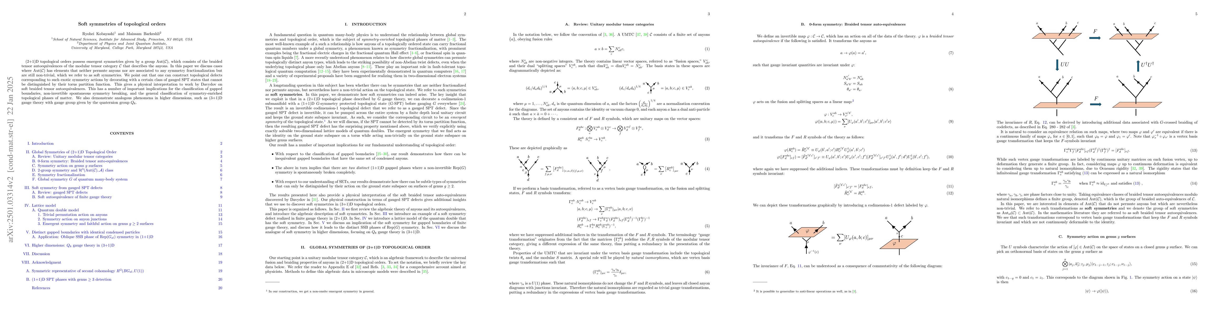 Thumbnail for Soft symmetries of topological orders