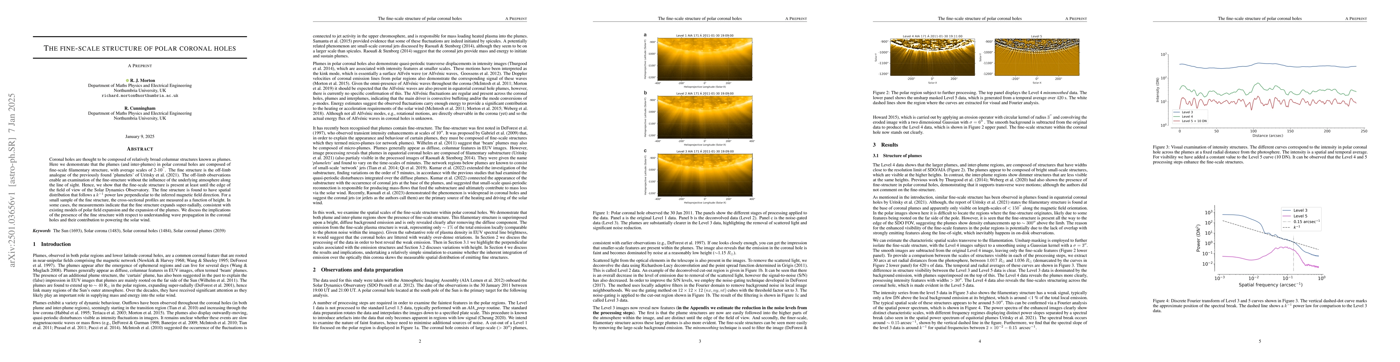 Thumbnail for The fine-scale structure of polar coronal holes