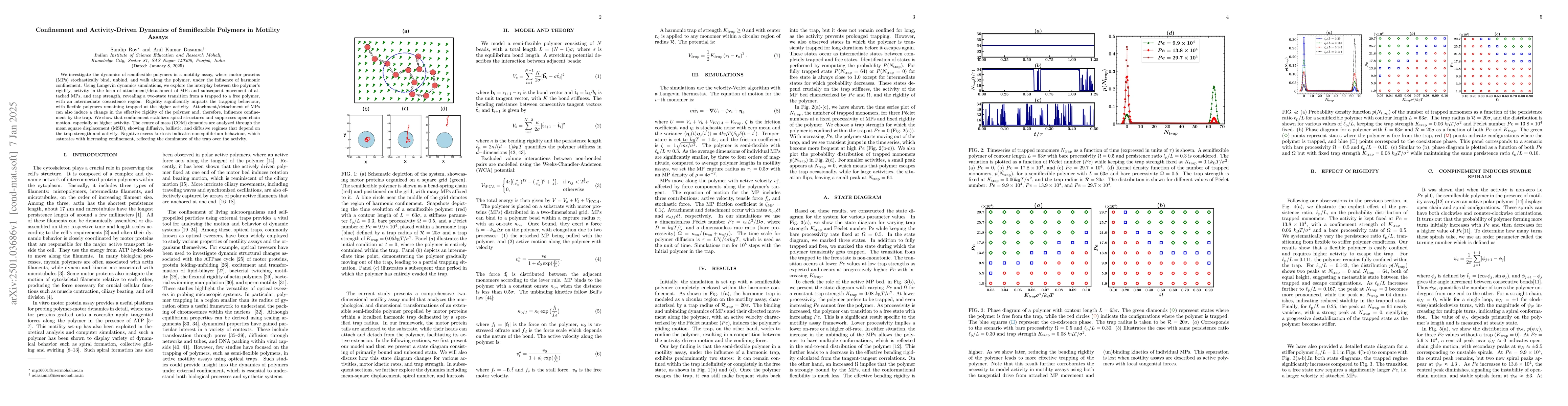 Thumbnail for Confinement and Activity-Driven Dynamics of Semiflexible Polymers in
  Motility Assays