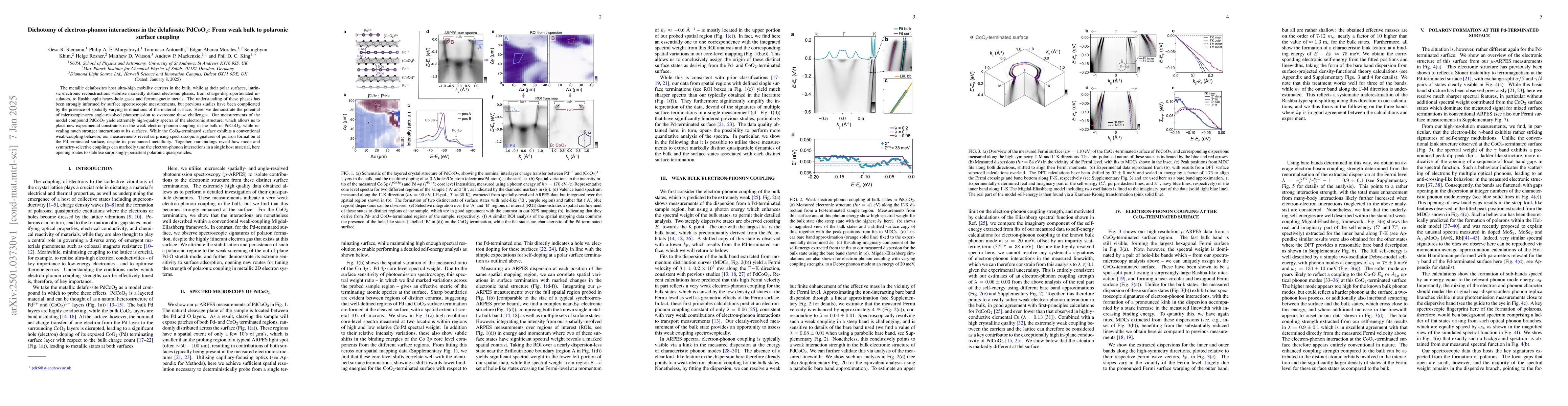 Thumbnail for Dichotomy of electron-phonon interactions in the delafossite PdCoO$_2$:
  From weak bulk to polaronic surface coupling