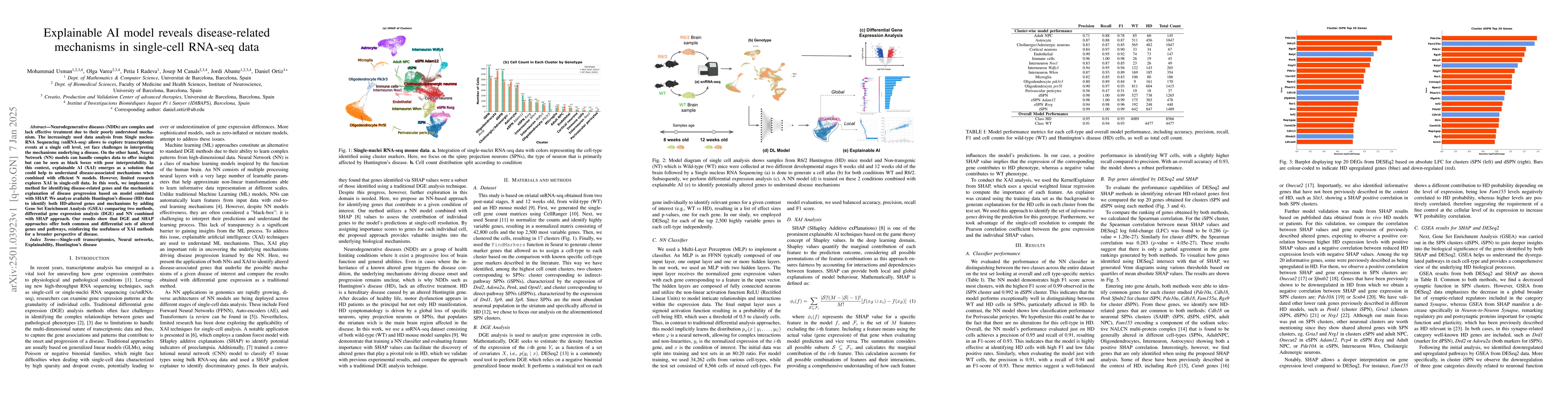 Thumbnail for Explainable AI model reveals disease-related mechanisms in single-cell
  RNA-seq data