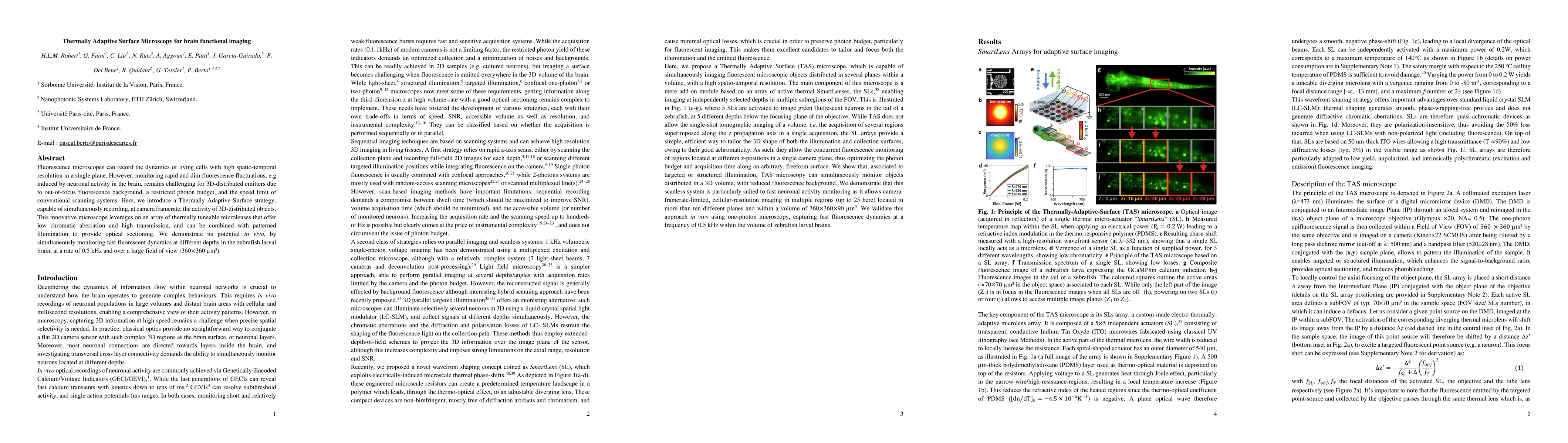 Thumbnail for Thermally Adaptive Surface Microscopy for brain functional imaging