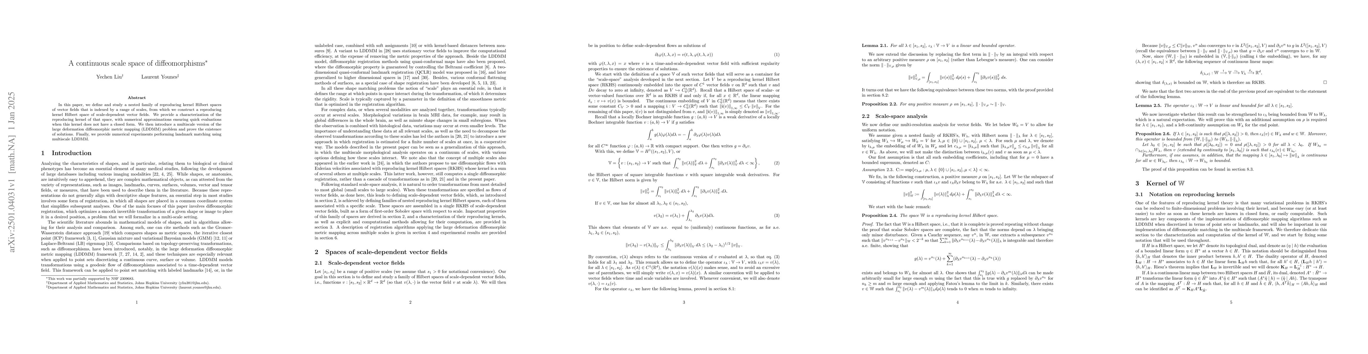 Thumbnail for A continuous scale space of diffeomorphisms
