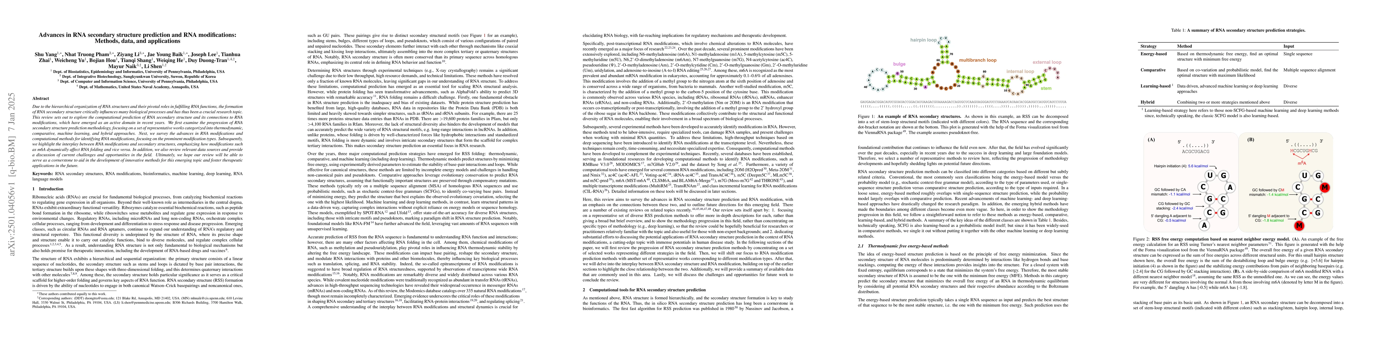 Thumbnail for Advances in RNA secondary structure prediction and RNA modifications:
  Methods, data, and applications
