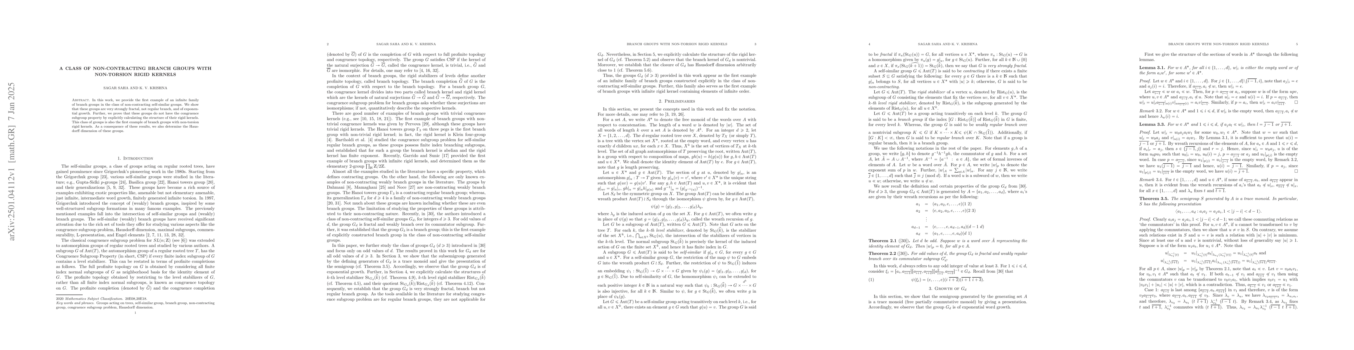 Thumbnail for A Class of Non-Contracting Branch Groups with Non-Torsion Rigid Kernels