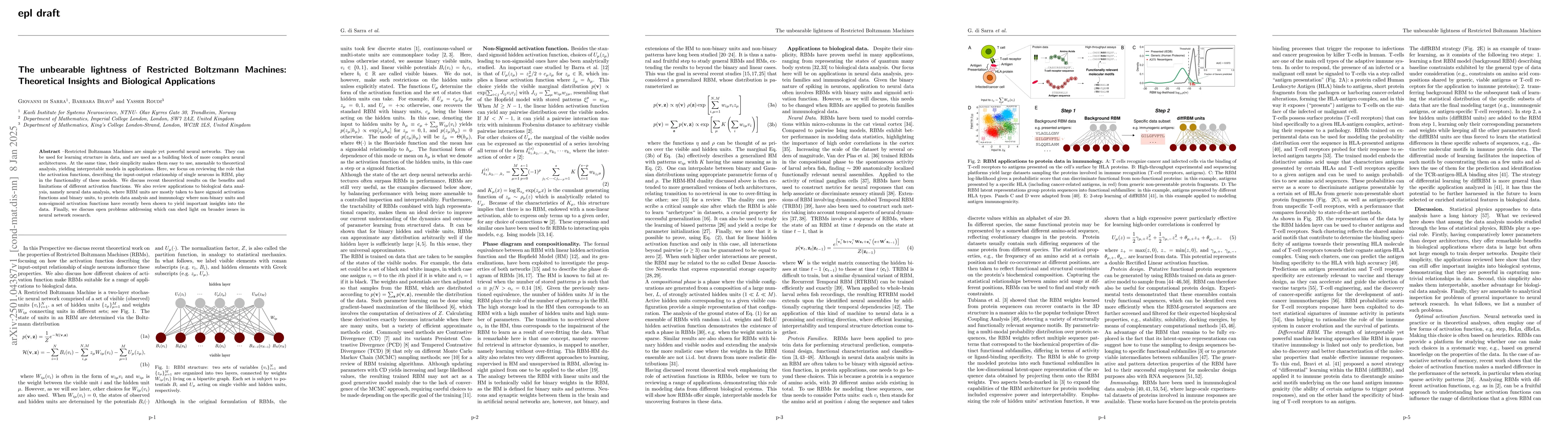 Thumbnail for The unbearable lightness of Restricted Boltzmann Machines: Theoretical
  Insights and Biological Applications